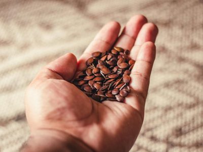 Close-up image of an open hand holding brown flax seeds on a textured background.