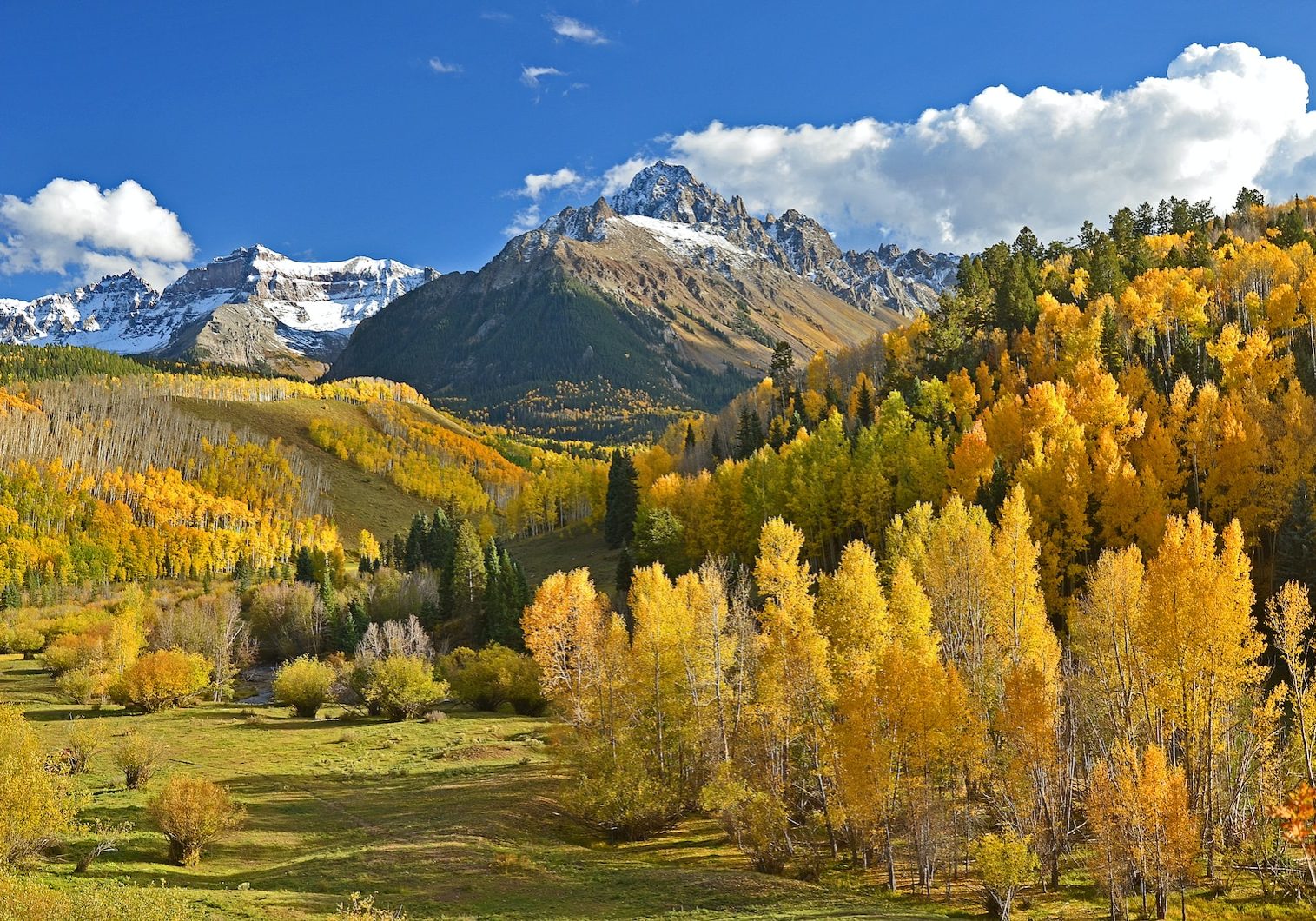 green and beige trees beside mountains