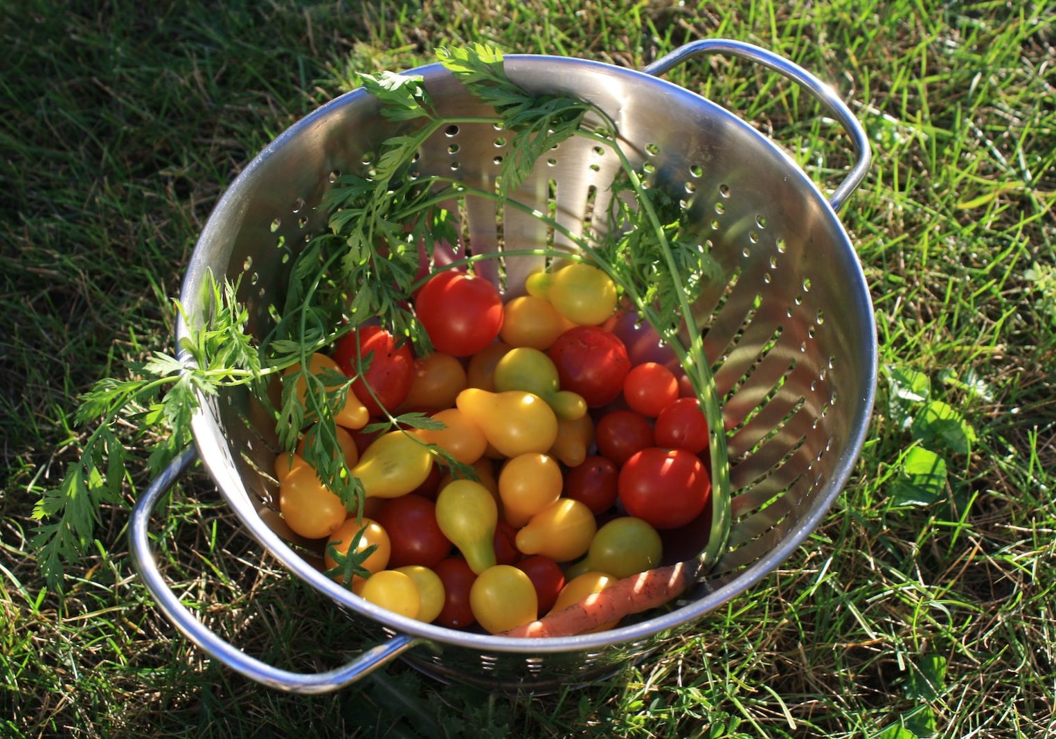 red and yellow round fruits in stainless steel bowl